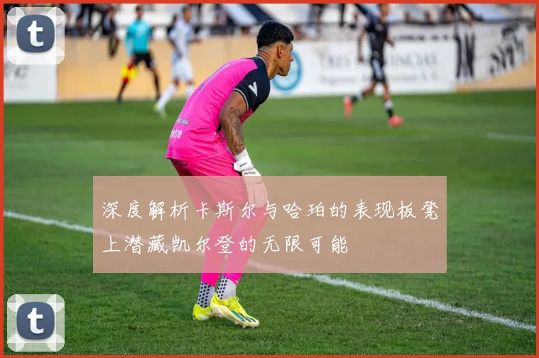 深度解析卡斯尔与哈珀的表现板凳上潜藏凯尔登的无限可能