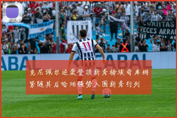 克尼佩尔逆袭登顶新秀榜埃奇库姆紧随其后哈珀强势入围新秀行列